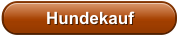 Hundekauf